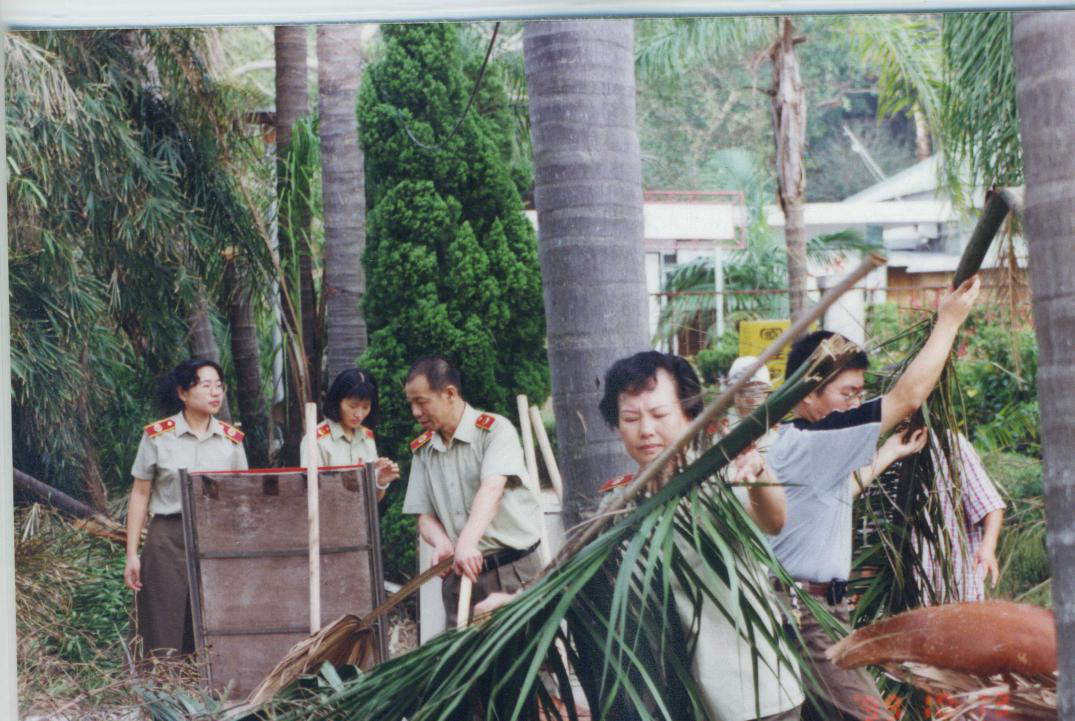抗“台风”重建家园